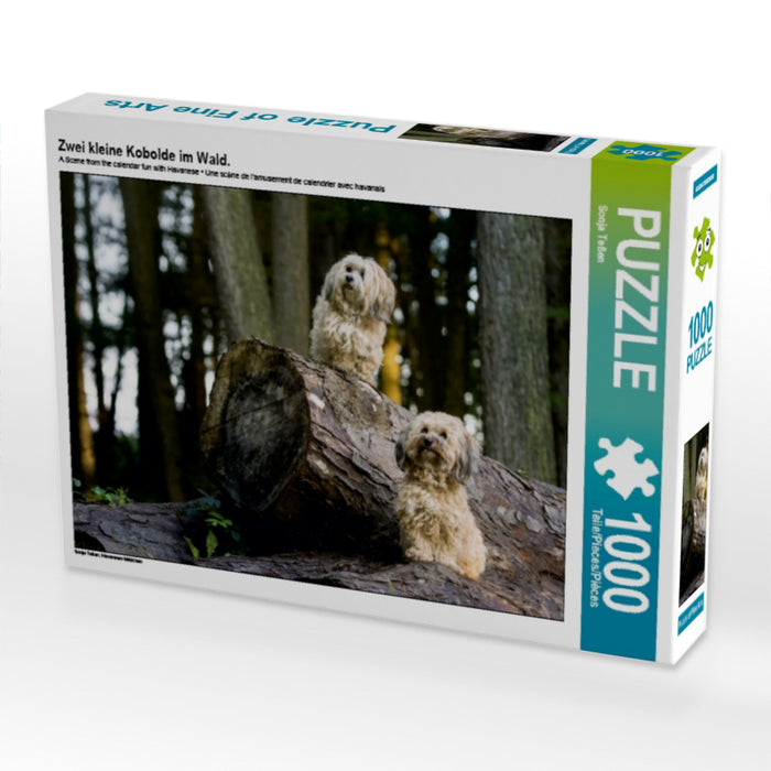 Zwei kleine Kobolde im Wald. - CALVENDO Foto-Puzzle - calvendoverlag 29.99