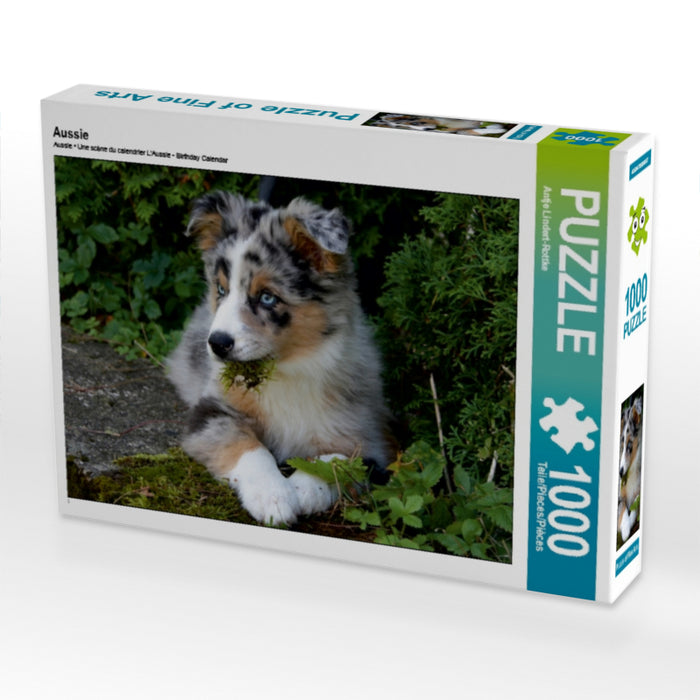 Aussie - CALVENDO Foto-Puzzle - calvendoverlag 29.99