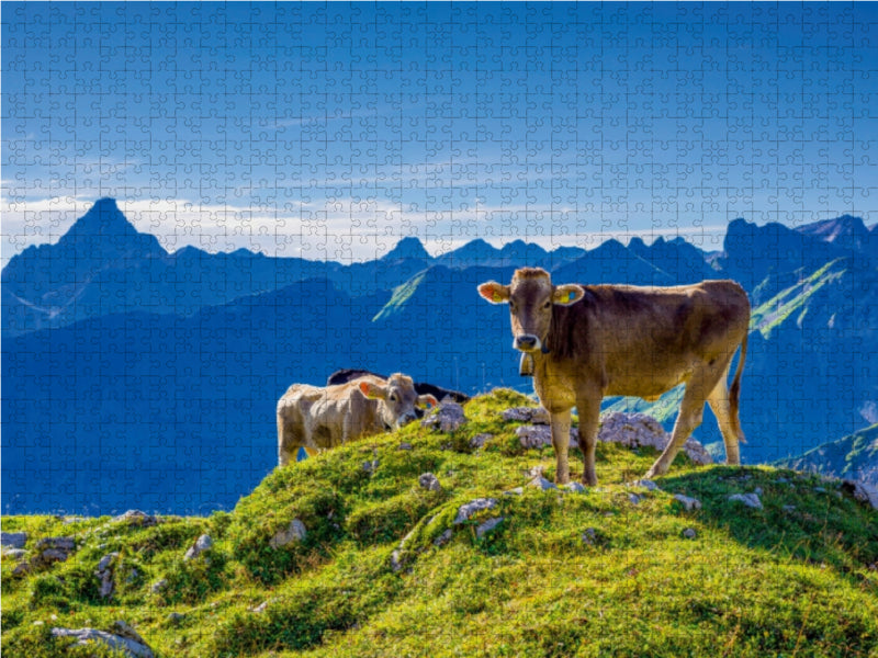 Allgäuer Braunvieh - CALVENDO Foto-Puzzle - calvendoverlag 29.99