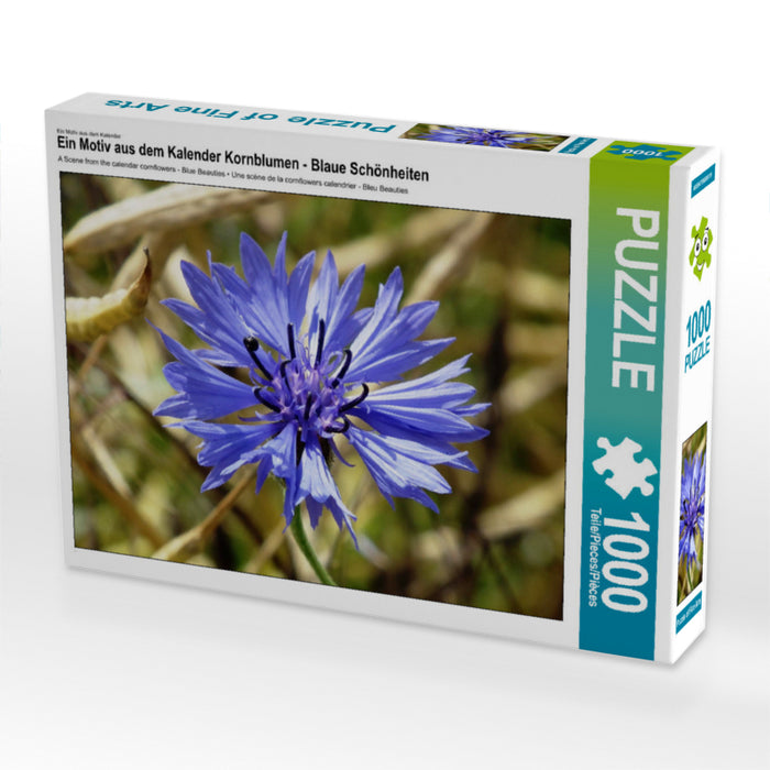 Cornflowers - Blue Beauties - CALVENDO photo puzzle 