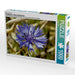 Kornblumen - Blaue Schönheiten - CALVENDO Foto-Puzzle - calvendoverlag 29.99