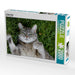 Lustige Katze - CALVENDO Foto-Puzzle - calvendoverlag 29.99