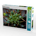 Euphorbia avasmontana - CALVENDO Foto-Puzzle - calvendoverlag 29.99