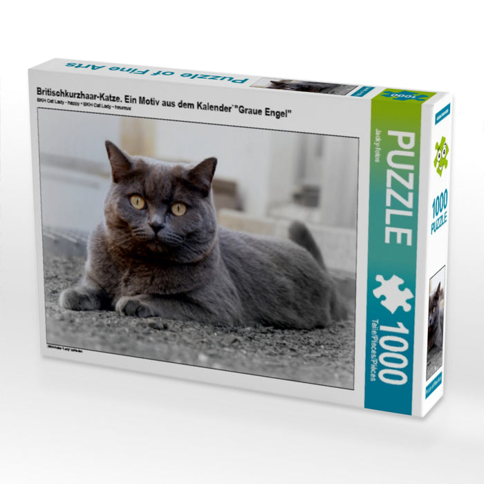 Britischkurzhaar-Katze. Ein Motiv aus dem Kalender`"Graue Engel" - CALVENDO Foto-Puzzle - calvendoverlag 29.99