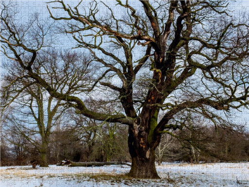 Herrenkrugpark Magdeburg - CALVENDO Foto-Puzzle - calvendoverlag 29.99