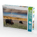 Roaming Free - CALVENDO Foto-Puzzle - calvendoverlag 29.99