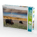 Roaming Free - CALVENDO Foto-Puzzle - calvendoverlag 29.99