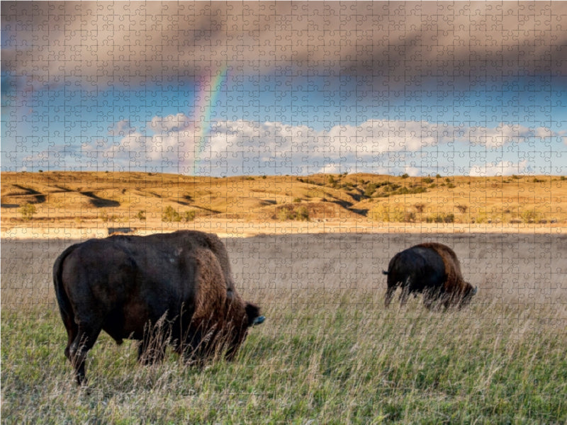 Roaming Free - CALVENDO Foto-Puzzle - calvendoverlag 29.99