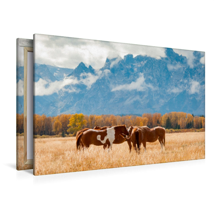Toile textile haut de gamme Toile textile haut de gamme 120 cm x 80 cm Paysage Chevaux dans le parc national de Grand Teton 