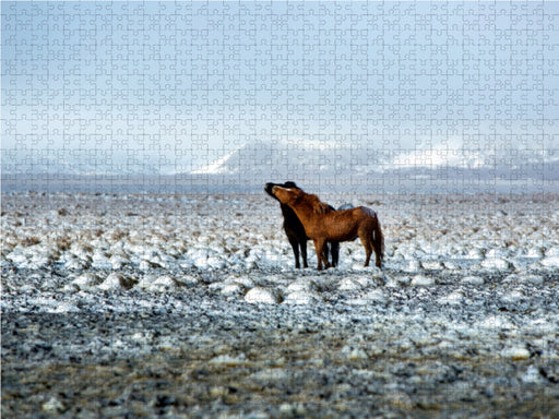 Isländische Schönheiten - CALVENDO Foto-Puzzle - calvendoverlag 29.99