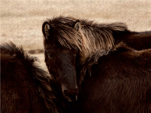 Isländische Schönheiten - CALVENDO Foto-Puzzle - calvendoverlag 29.99