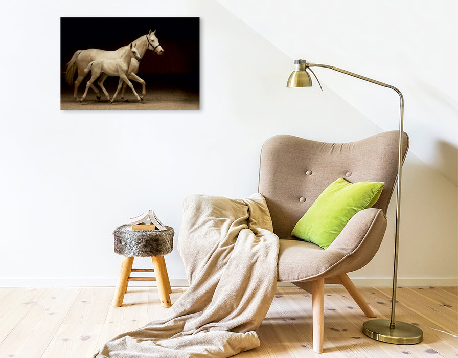 Premium Textil-Leinwand Premium Textil-Leinwand 75 cm x 50 cm quer Ein Motiv aus dem Kalender Pferde in Sonderfarben 2017