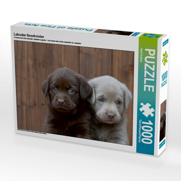 Labrador Geschwister - CALVENDO Foto-Puzzle - calvendoverlag 29.99