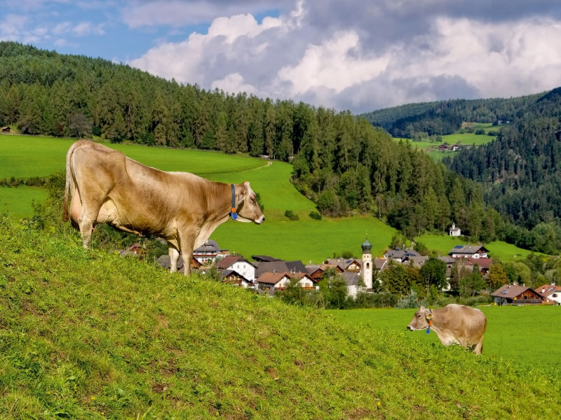 St. Lorenzen - CALVENDO Foto-Puzzle - calvendoverlag 29.99