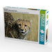 Geparden - Afrikas grazile Katzen - CALVENDO Foto-Puzzle - calvendoverlag 29.99