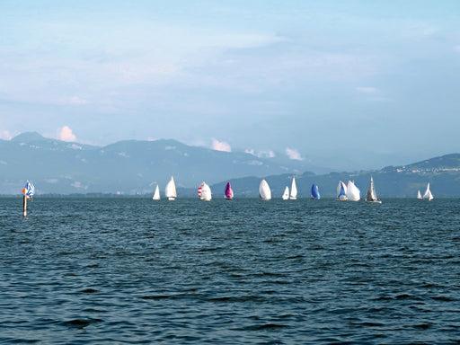 Obersee Pokal Regatta - CALVENDO Foto-Puzzle - calvendoverlag 29.99