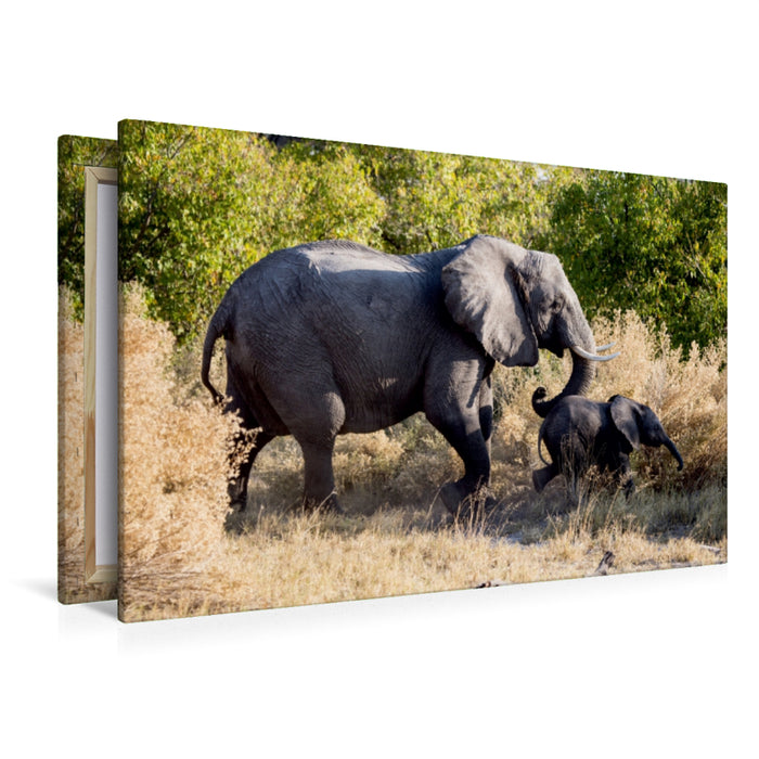 Premium Textil-Leinwand Premium Textil-Leinwand 120 cm x 80 cm quer Elefant mit Jungtier