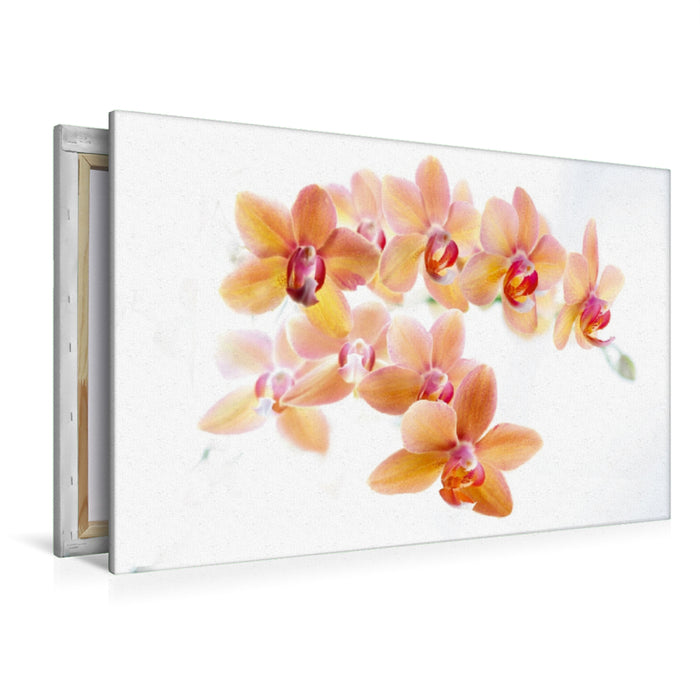 Toile textile haut de gamme Toile textile haut de gamme 120 cm x 80 cm paysage panicule d'orchidée Phalaenopsis en orange et rouge. 