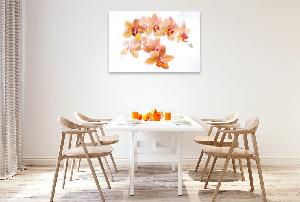 Premium Textil-Leinwand Premium Textil-Leinwand 120 cm x 80 cm quer Phalaenopsis Orchideenrispe in orange und rot.