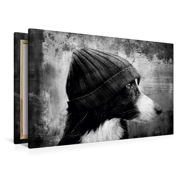 Premium Textil-Leinwand Premium Textil-Leinwand 120 cm x 80 cm quer Bild auf Leinwand Border Collie