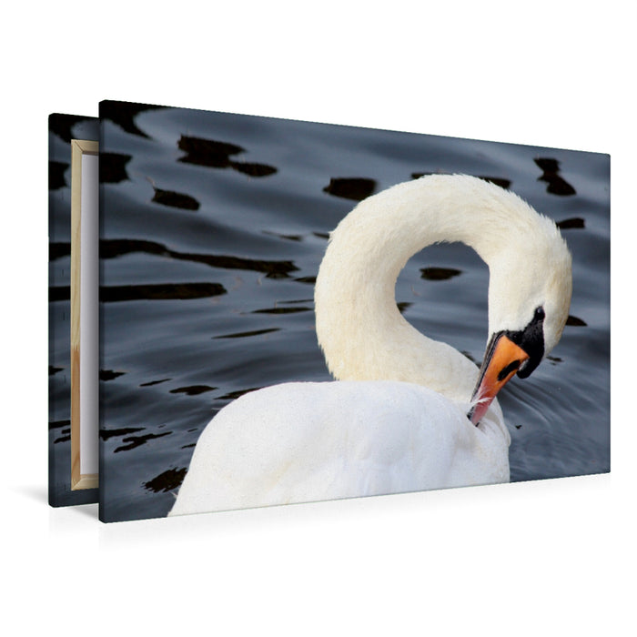 Premium Textil-Leinwand Premium Textil-Leinwand 120 cm x 80 cm quer "Mein lieber Schwan!"