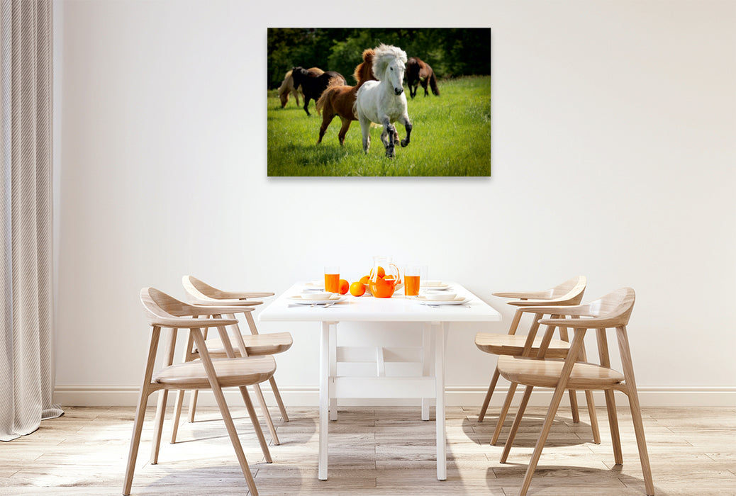 Premium Textil-Leinwand Premium Textil-Leinwand 120 cm x 80 cm quer Ein Motiv aus dem Kalender Isländer - icelandic horses