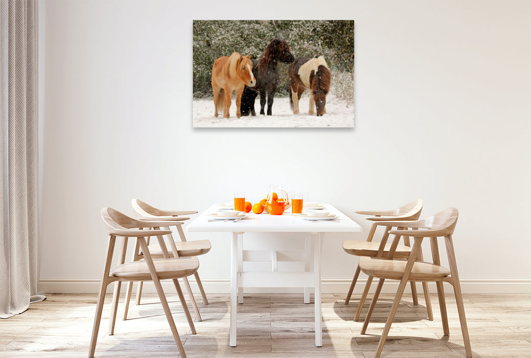 Premium Textil-Leinwand Premium Textil-Leinwand 120 cm x 80 cm quer Ein Motiv aus dem Kalender Isländer - icelandic horses