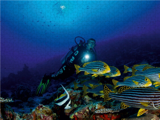 Malediven - Die bunte Unterwasserwelt - CALVENDO Foto-Puzzle - calvendoverlag 29.99