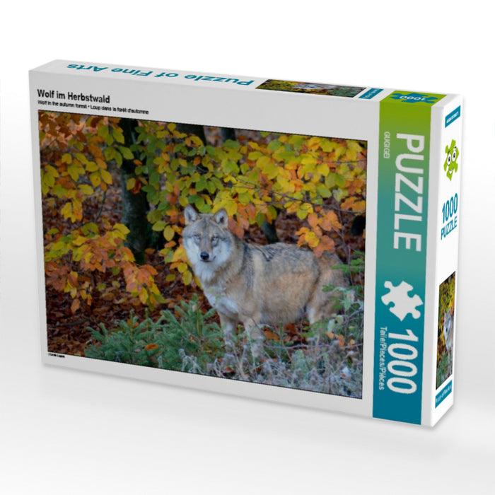 Wolf im Herbstwald - CALVENDO Foto-Puzzle - calvendoverlag 29.99