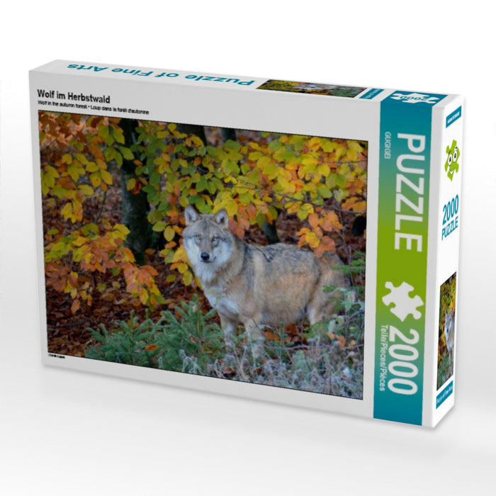 Wolf im Herbstwald - CALVENDO Foto-Puzzle - calvendoverlag 29.99