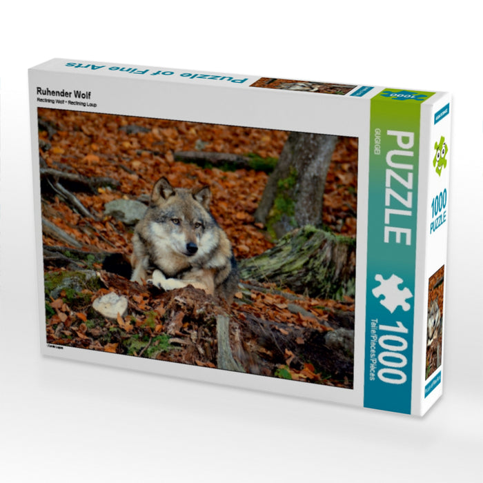 Ruhender Wolf - CALVENDO Foto-Puzzle - calvendoverlag 29.99