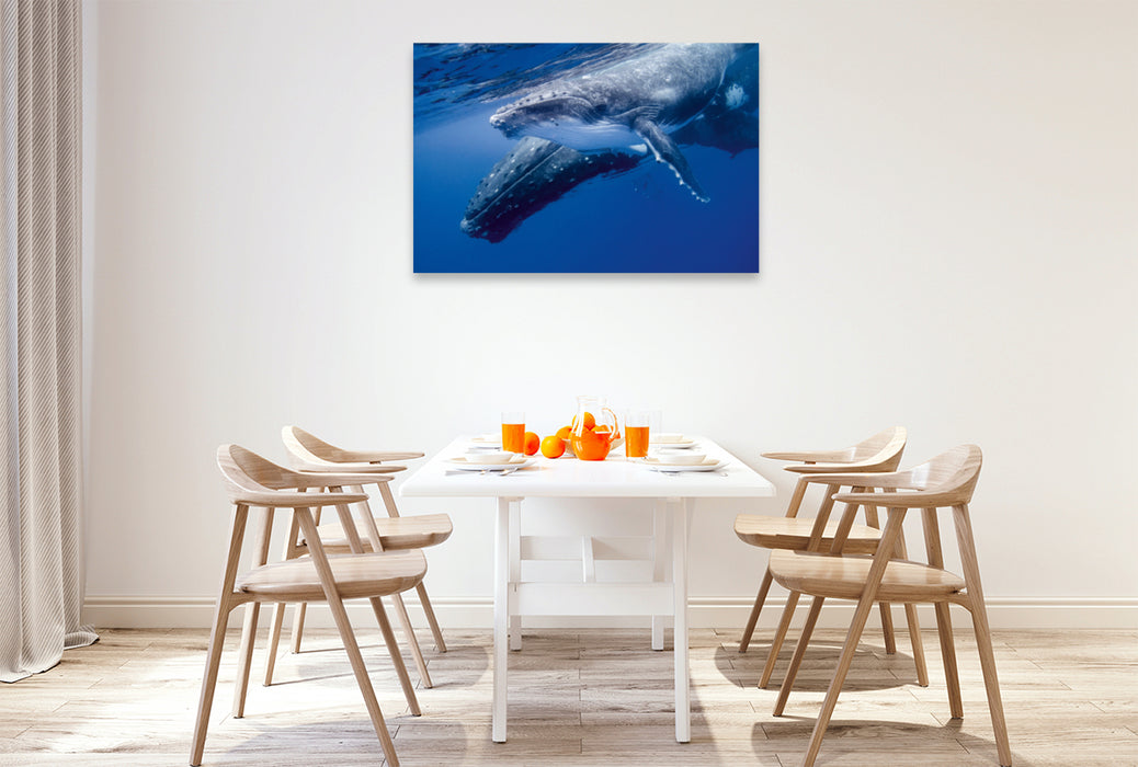 Toile textile premium Toile textile premium 120 cm x 80 cm paysage baleine à bosse veau plein de joie de vivre