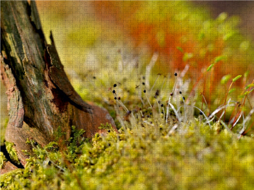 Natur - im Detail - CALVENDO Foto-Puzzle - calvendoverlag 39.99