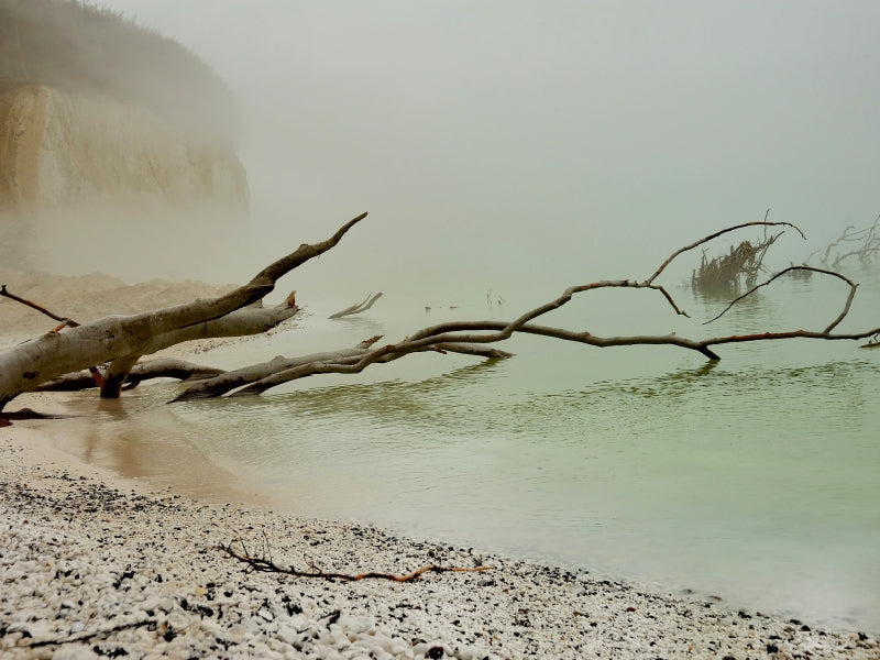 Insel Rügen / Planer - CALVENDO Foto-Puzzle - calvendoverlag 29.99