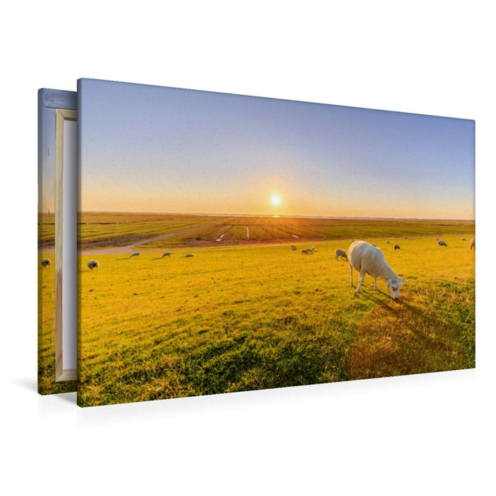 Toile textile premium Toile textile premium 120 cm x 80 cm à travers des marais salants avec des moutons sur la mer du Nord 