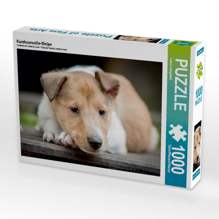 Kurzhaarcollie-Welpe - CALVENDO Foto-Puzzle - calvendoverlag 29.99