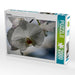 Orchideen - CALVENDO Foto-Puzzle - calvendoverlag 39.99