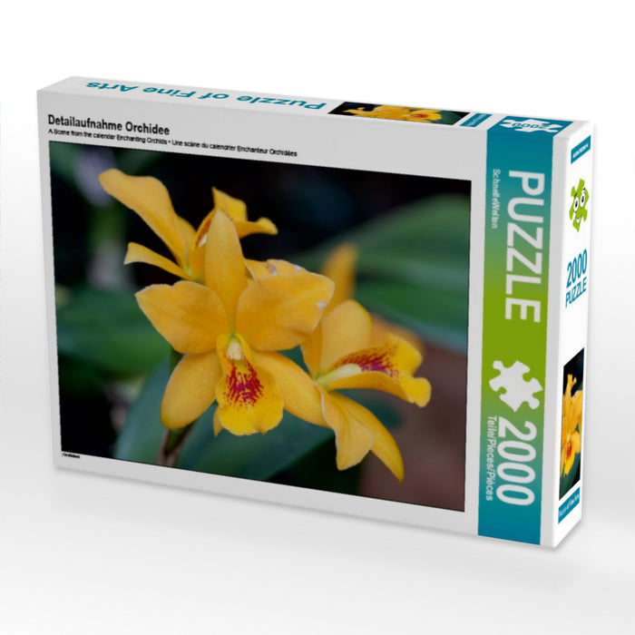 Detailaufnahme Orchidee - CALVENDO Foto-Puzzle - calvendoverlag 39.99