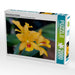 Detailaufnahme Orchidee - CALVENDO Foto-Puzzle - calvendoverlag 39.99