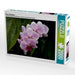 Rosa Orchideen - CALVENDO Foto-Puzzle - calvendoverlag 39.99