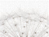 Pusteblume im Detail - CALVENDO Foto-Puzzle - calvendoverlag 39.99