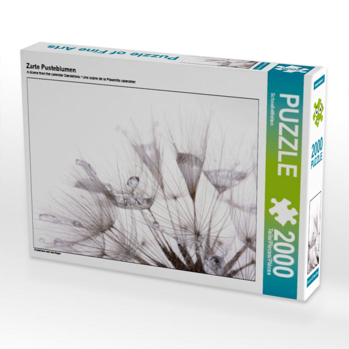 Zarte Pusteblumen - CALVENDO Foto-Puzzle - calvendoverlag 39.99