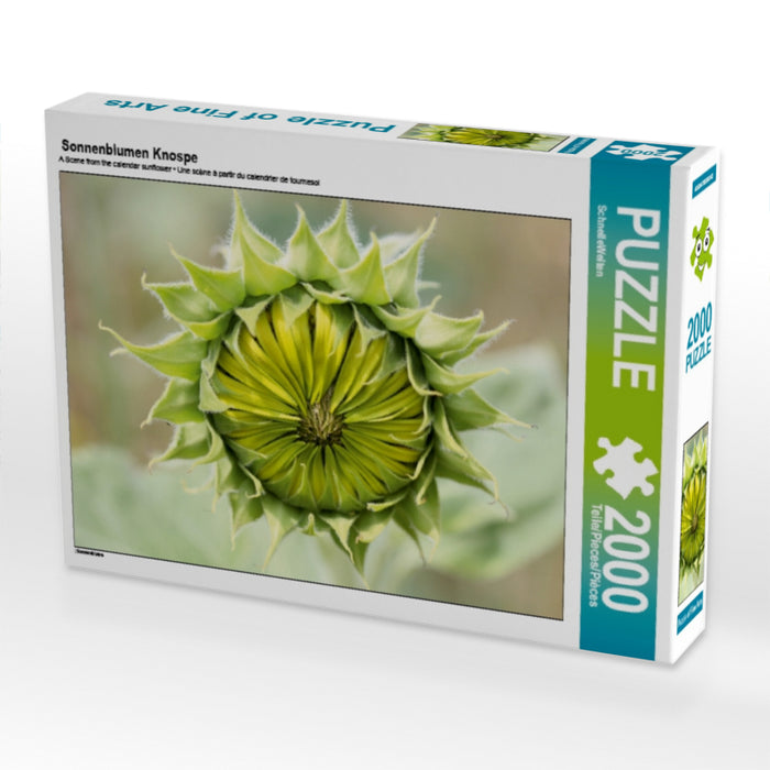 Sonnenblumen Knospe - CALVENDO Foto-Puzzle - calvendoverlag 39.99