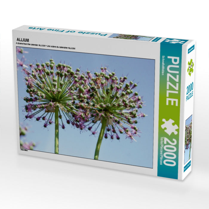 ALLIUM - CALVENDO Foto-Puzzle - calvendoverlag 39.99