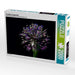 ALLIUM im Gegenlicht - CALVENDO Foto-Puzzle - calvendoverlag 39.99