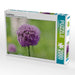 ALLIUM Makro - CALVENDO Foto-Puzzle - calvendoverlag 39.99