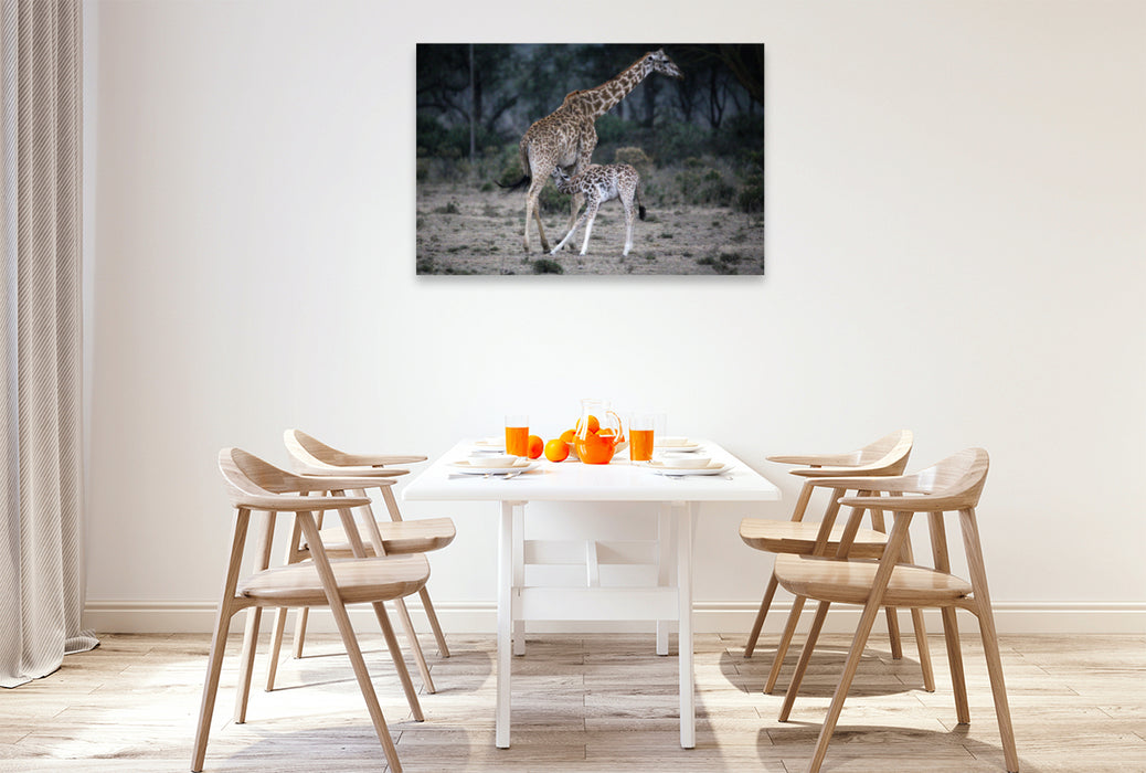 Toile textile premium Toile textile premium 120 cm x 80 cm paysage Girafe mère avec enfant 