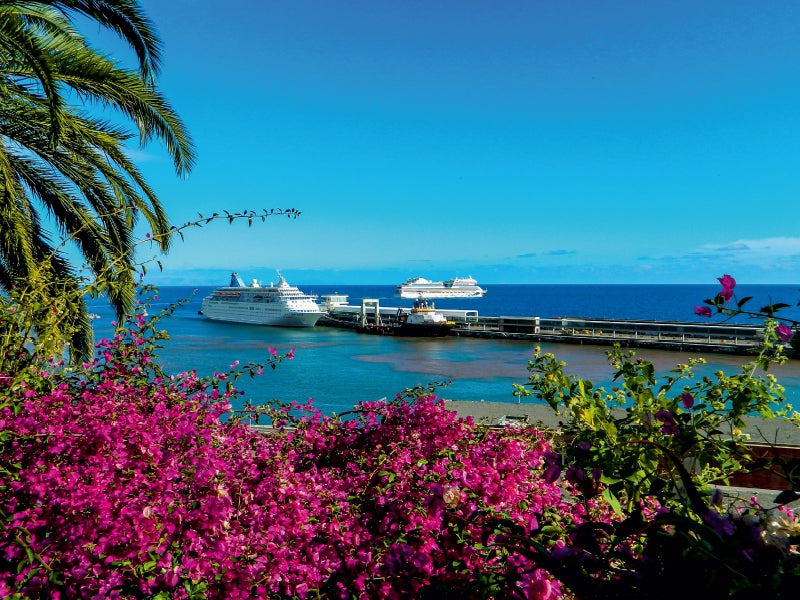 Kreuzfahrtschiffe vor Funchal, Madeira - CALVENDO Foto-Puzzle - calvendoverlag 29.99