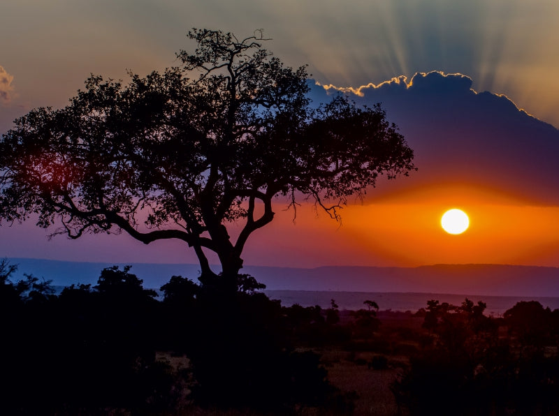 Sonnenuntergang in der Masai Mara in Kenia - CALVENDO Foto-Puzzle - calvendoverlag 79.99