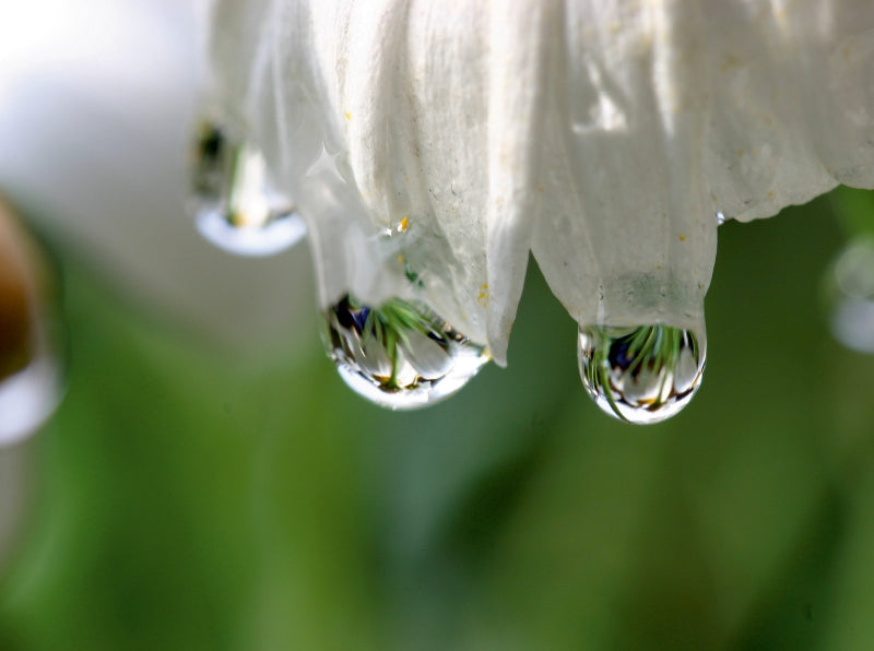 Wassertropfen - CALVENDO Foto-Puzzle - calvendoverlag 39.99